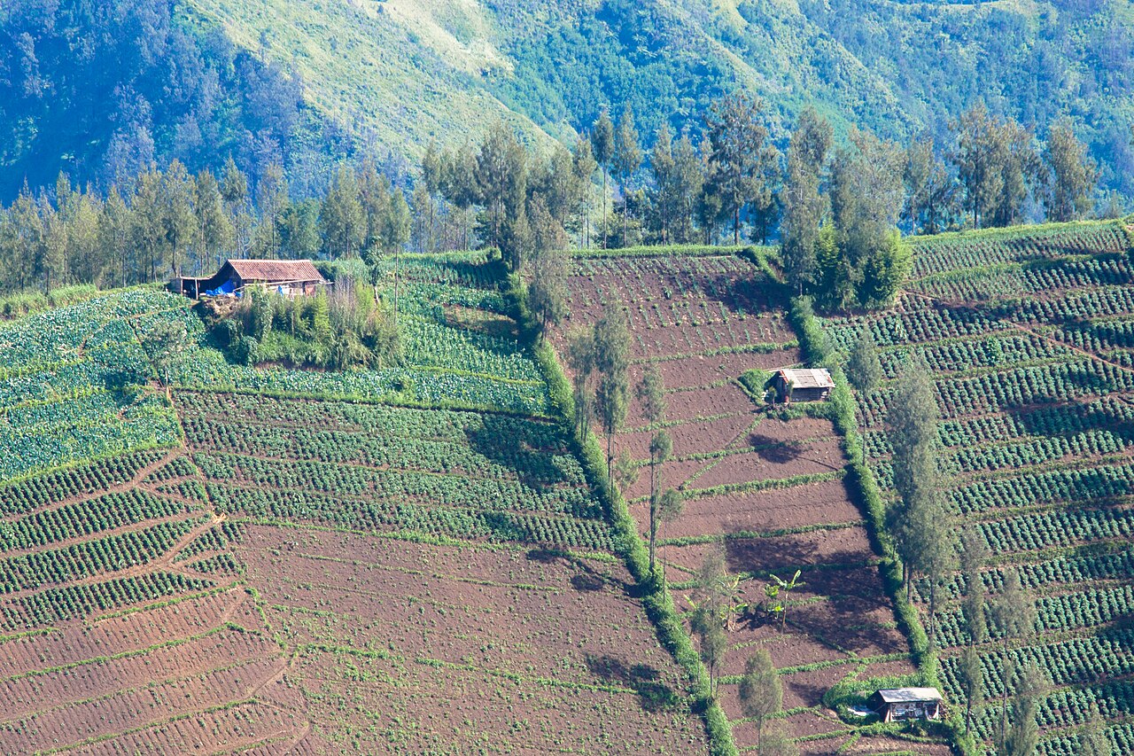 Foto 1 — Desa Ngadas