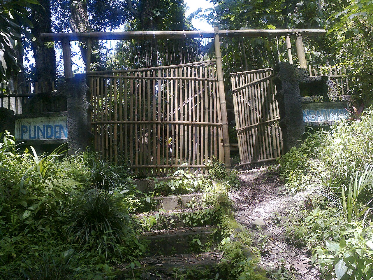 Desa Ngadireso