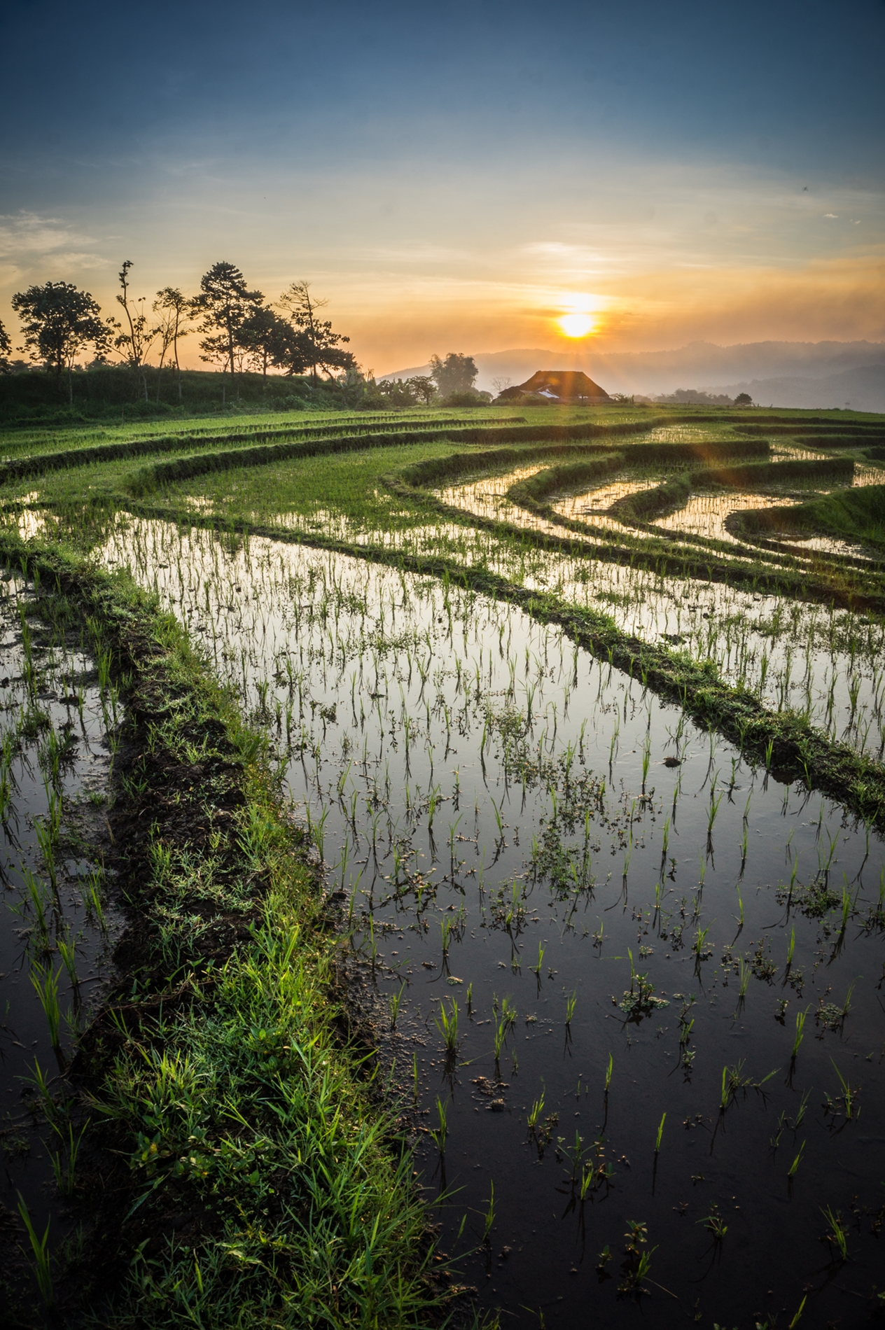 Desa Sumberngepoh
