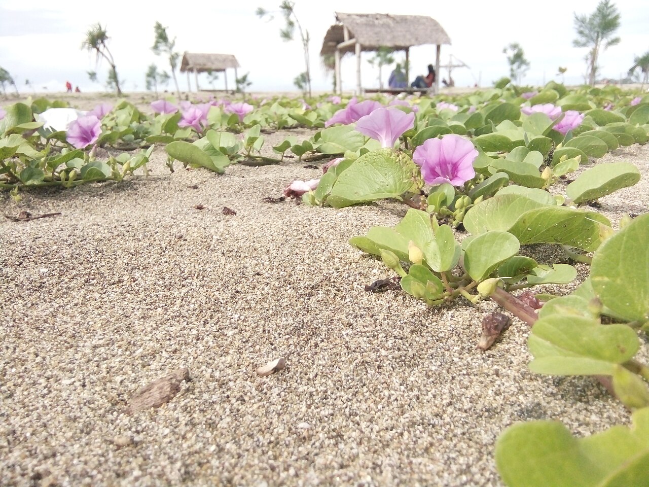 Pantai Bajul Mati