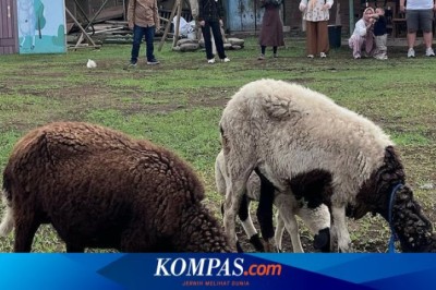 Sui Farm Malang: Daya Tarik, Harga Tiket, dan Jam Buka Halaman all - Kompas.com